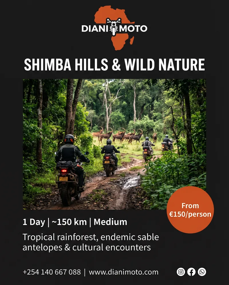Route 3: Shimba Hills Safari